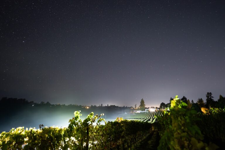 2024 Harvest Journal at Singer Baker Lane Estate